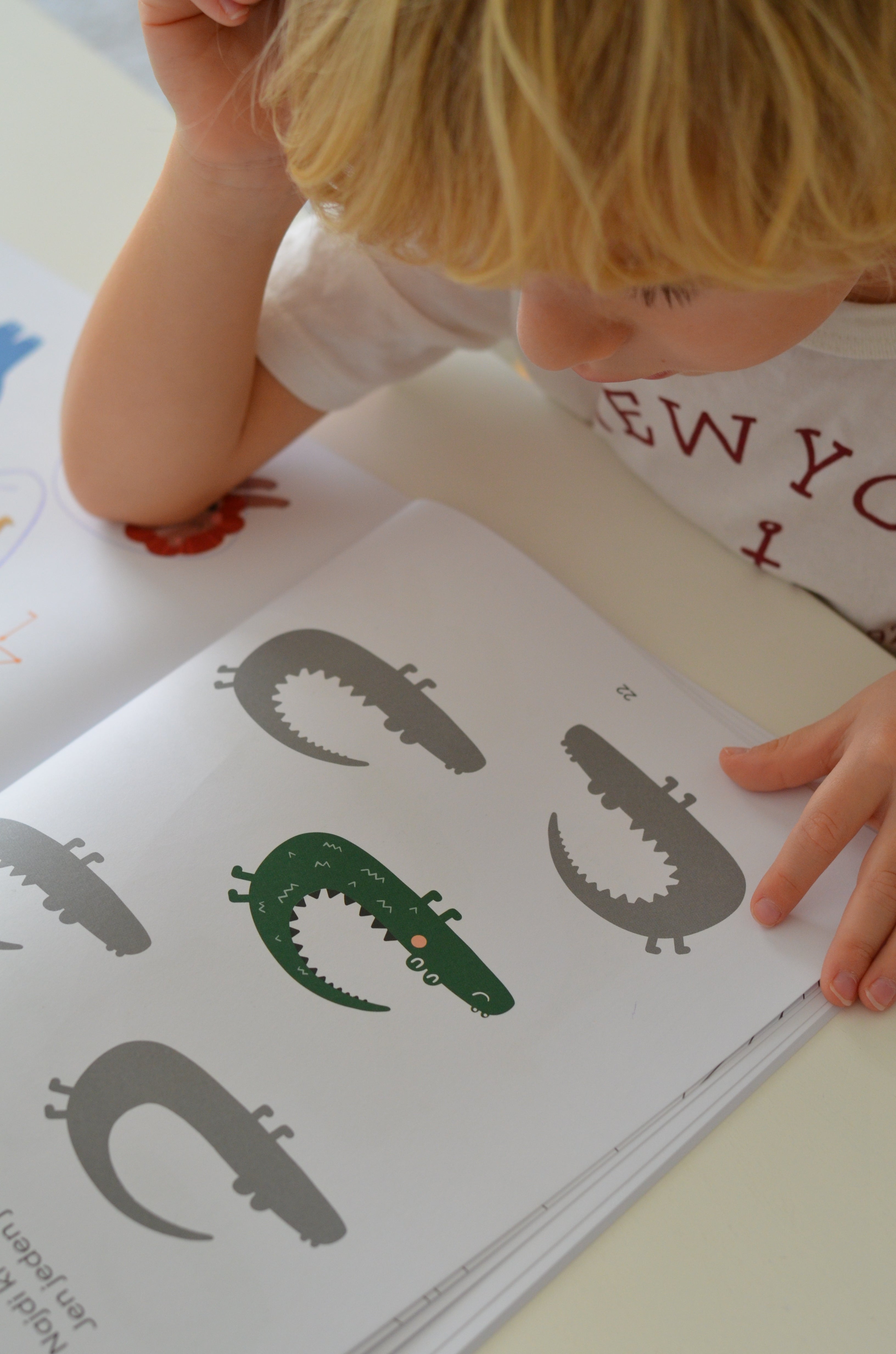 Můj první sešit Safari